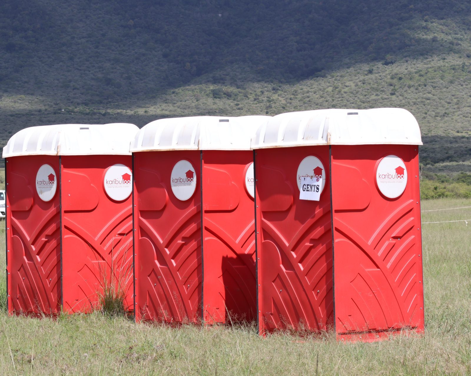 Portable Toilets: The Key to a Successful House Party
