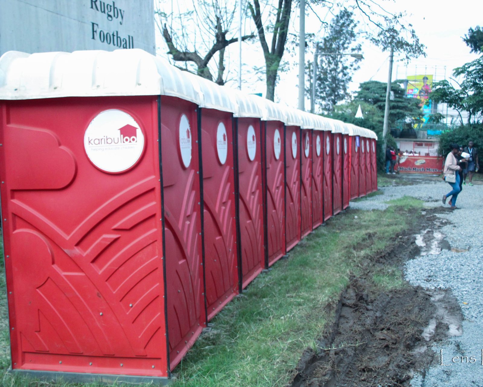 Wetlands and Toilets: A Vital Connection
